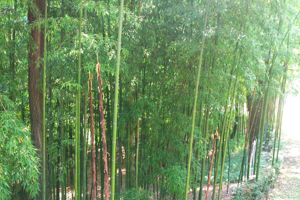Country Hotel Castelbarco Vaprio d'Adda Ngoại thất bức ảnh